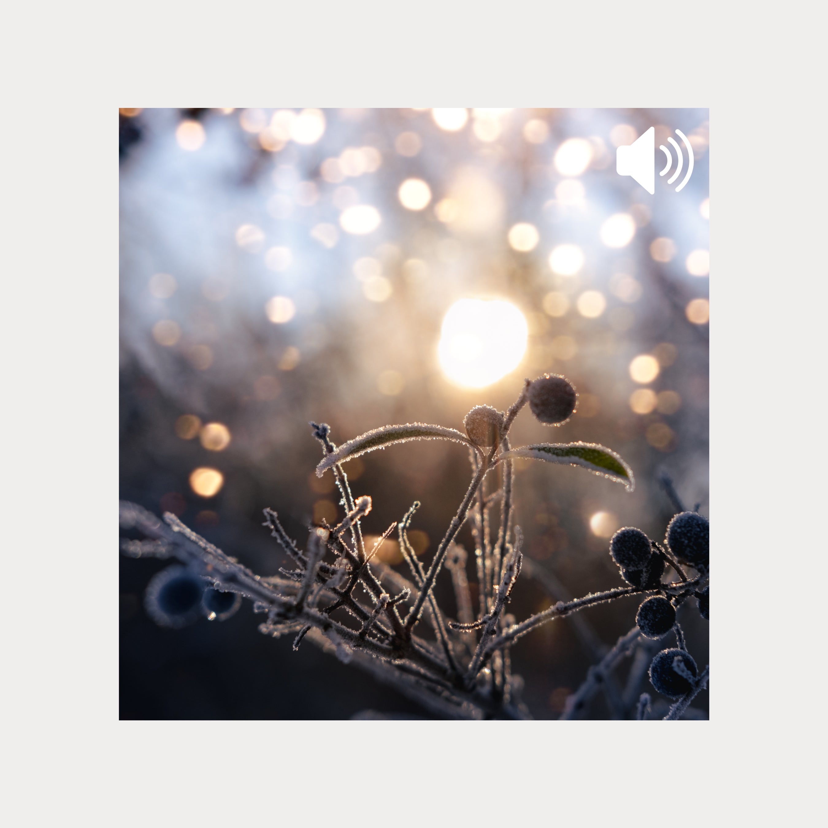 Meditation Jul I Mit Hjerte