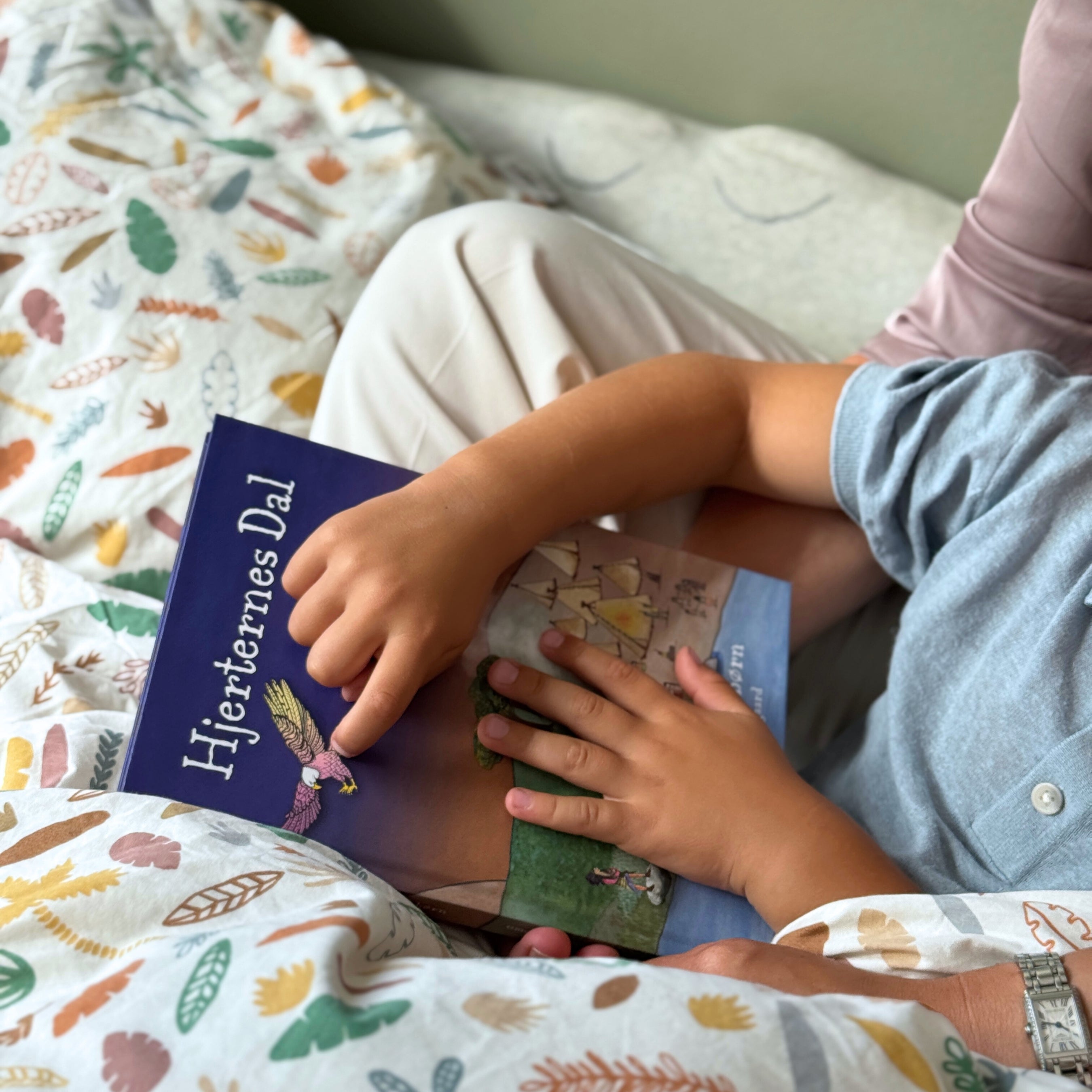 Hjerternes Dal - meditationer til børn